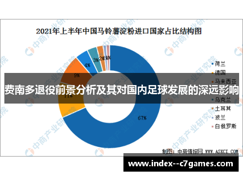 费南多退役前景分析及其对国内足球发展的深远影响