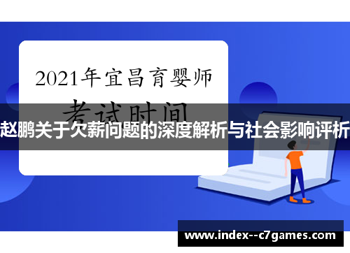 赵鹏关于欠薪问题的深度解析与社会影响评析
