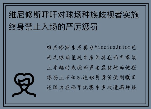 维尼修斯呼吁对球场种族歧视者实施终身禁止入场的严厉惩罚 维尼修斯呼吁对球场种族歧视者实施终身禁止入场的严厉惩罚